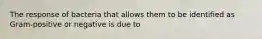 The response of bacteria that allows them to be identified as Gram-positive or negative is due to