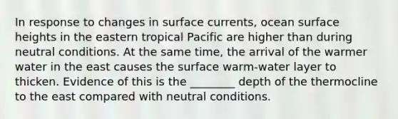 In response to changes in surface currents, ocean surface heights in the eastern tropical Pacific are higher than during neutral conditions. At the same time, the arrival of the warmer water in the east causes the surface warm-water layer to thicken. Evidence of this is the ________ depth of the thermocline to the east compared with neutral conditions.