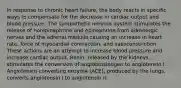 In response to chronic heart failure, the body reacts in specific ways to compensate for the decrease in cardiac output and blood pressure. The sympathetic nervous system stimulates the release of norepinephrine and epinephrine from adrenergic nerves and the adrenal medulla causing an increase in heart rate, force of myocardial contraction, and vasoconstriction. These actions are an attempt to increase blood pressure and increase cardiac output. Renin, released by the kidneys, stimulates the conversion of angiotensinogen to angiotensin I. Angiotensin-converting enzyme (ACE), produced by the lungs, converts angiotensin I to angiotensin II.