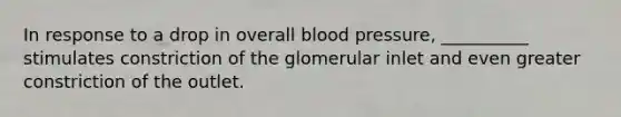 In response to a drop in overall blood pressure, __________ stimulates constriction of the glomerular inlet and even greater constriction of the outlet.