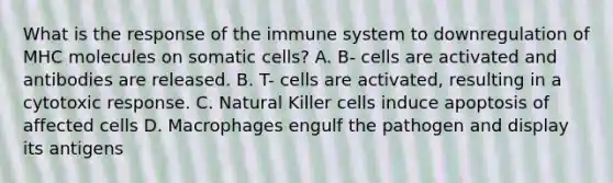 What is the response of the immune system to downregulation of MHC molecules on somatic cells? A. B- cells are activated and antibodies are released. B. T- cells are activated, resulting in a cytotoxic response. C. Natural Killer cells induce apoptosis of affected cells D. Macrophages engulf the pathogen and display its antigens