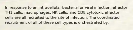 In response to an intracellular bacterial or viral infection, effector TH1 cells, macrophages, NK cells, and CD8 cytotoxic effector cells are all recruited to the site of infection. The coordinated recruitment of all of these cell types is orchestrated by: