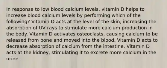 In response to low blood calcium levels, vitamin D helps to increase blood calcium levels by performing which of the following? Vitamin D acts at the level of the skin, increasing the absorption of UV rays to stimulate more calcium production in the body. Vitamin D activates osteoclasts, causing calcium to be released from bone and moved into the blood. Vitamin D acts to decrease absorption of calcium from the intestine. Vitamin D acts at the kidney, stimulating it to excrete more calcium in the urine.