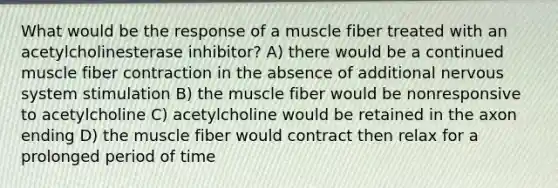 What would be the response of a muscle fiber treated with an acetylcholinesterase inhibitor? A) there would be a continued muscle fiber contraction in the absence of additional nervous system stimulation B) the muscle fiber would be nonresponsive to acetylcholine C) acetylcholine would be retained in the axon ending D) the muscle fiber would contract then relax for a prolonged period of time