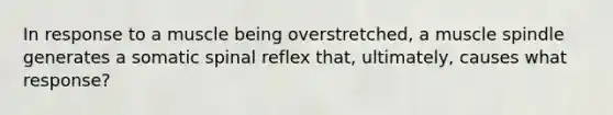 In response to a muscle being overstretched, a muscle spindle generates a somatic spinal reflex that, ultimately, causes what response?