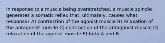 In response to a muscle being overstretched, a muscle spindle generates a somatic reflex that, ultimately, causes what response? A) contraction of the agonist muscle B) relaxation of the antagonist muscle C) contraction of the antagonist muscle D) relaxation of the agonist muscle E) both A and B