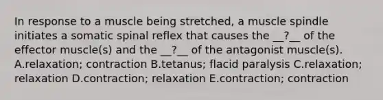 In response to a muscle being stretched, a muscle spindle initiates a somatic spinal reflex that causes the __?__ of the effector muscle(s) and the __?__ of the antagonist muscle(s). A.relaxation; contraction B.tetanus; flacid paralysis C.relaxation; relaxation D.contraction; relaxation E.contraction; contraction