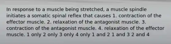 In response to a muscle being stretched, a muscle spindle initiates a somatic spinal reflex that causes 1. contraction of the effector muscle. 2. relaxation of the antagonist muscle. 3. contraction of the antagonist muscle. 4. relaxation of the effector muscle. 1 only 2 only 3 only 4 only 1 and 2 1 and 3 2 and 4