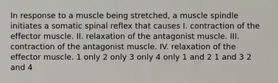 In response to a muscle being stretched, a muscle spindle initiates a somatic spinal reflex that causes I. contraction of the effector muscle. II. relaxation of the antagonist muscle. III. contraction of the antagonist muscle. IV. relaxation of the effector muscle. 1 only 2 only 3 only 4 only 1 and 2 1 and 3 2 and 4