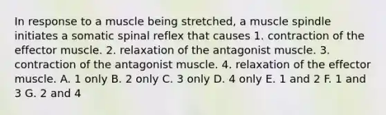 In response to a muscle being stretched, a muscle spindle initiates a somatic spinal reflex that causes 1. contraction of the effector muscle. 2. relaxation of the antagonist muscle. 3. contraction of the antagonist muscle. 4. relaxation of the effector muscle. A. 1 only B. 2 only C. 3 only D. 4 only E. 1 and 2 F. 1 and 3 G. 2 and 4