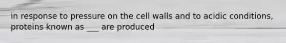 in response to pressure on the cell walls and to acidic conditions, proteins known as ___ are produced