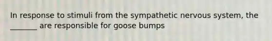 In response to stimuli from the sympathetic nervous system, the _______ are responsible for goose bumps