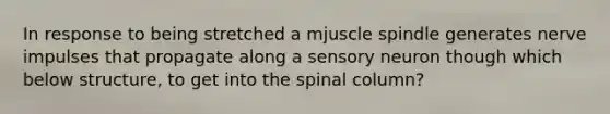 In response to being stretched a mjuscle spindle generates nerve impulses that propagate along a sensory neuron though which below structure, to get into the spinal column?