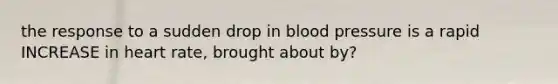 the response to a sudden drop in blood pressure is a rapid INCREASE in heart rate, brought about by?