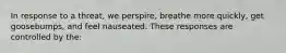 In response to a threat, we perspire, breathe more quickly, get goosebumps, and feel nauseated. These responses are controlled by the: