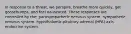 In response to a threat, we perspire, breathe more quickly, get goosebumps, and feel nauseated. These responses are controlled by the: parasympathetic nervous system. sympathetic nervous system. hypothalamic-pituitary-adrenal (HPA) axis. endocrine system.