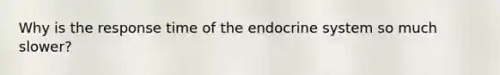 Why is the response time of the endocrine system so much slower?