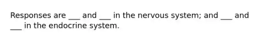 Responses are ___ and ___ in the nervous system; and ___ and ___ in the endocrine system.