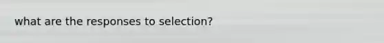what are the responses to selection?