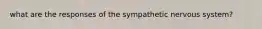 what are the responses of the sympathetic nervous system?