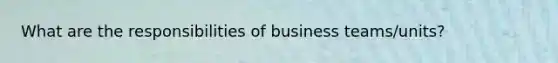 What are the responsibilities of business teams/units?