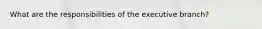 What are the responsibilities of the executive branch?