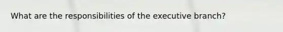 What are the responsibilities of the executive branch?