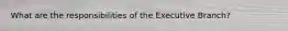 What are the responsibilities of the Executive Branch?