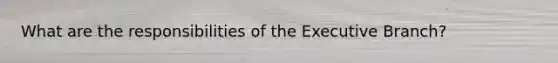 What are the responsibilities of the Executive Branch?