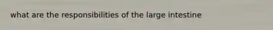 what are the responsibilities of the large intestine