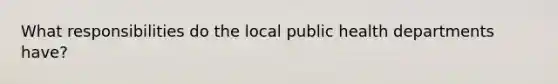 What responsibilities do the local public health departments have?