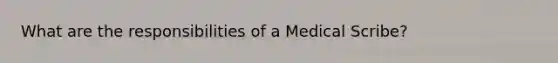 What are the responsibilities of a Medical Scribe?