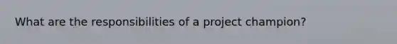 What are the responsibilities of a project champion?