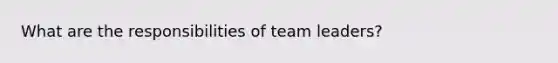 What are the responsibilities of team leaders?