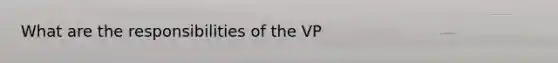 What are the responsibilities of the VP