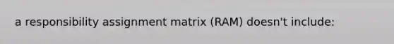 a responsibility assignment matrix (RAM) doesn't include: