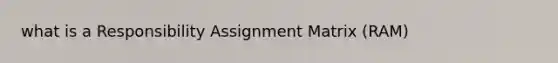 what is a Responsibility Assignment Matrix (RAM)