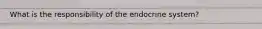 What is the responsibility of the endocrine system?