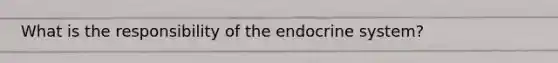 What is the responsibility of the endocrine system?