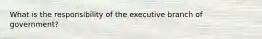 What is the responsibility of the executive branch of government?