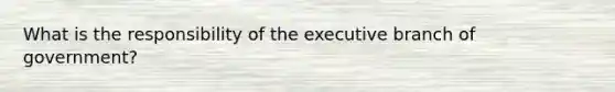 What is the responsibility of the executive branch of government?