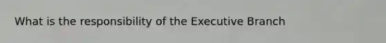 What is the responsibility of the Executive Branch