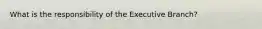 What is the responsibility of the Executive Branch?