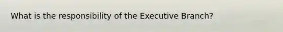 What is the responsibility of the Executive Branch?