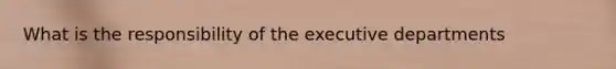 What is the responsibility of the executive departments