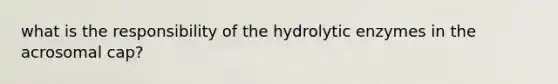 what is the responsibility of the hydrolytic enzymes in the acrosomal cap?