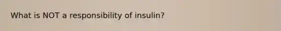 What is NOT a responsibility of insulin?