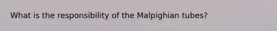 What is the responsibility of the Malpighian tubes?