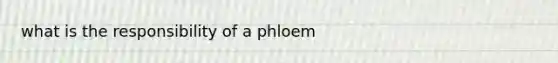 what is the responsibility of a phloem