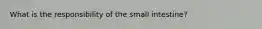 What is the responsibility of the small intestine?